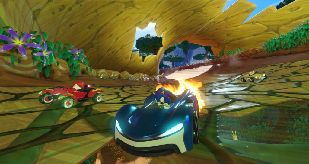 TEAM SONIC RACING S01